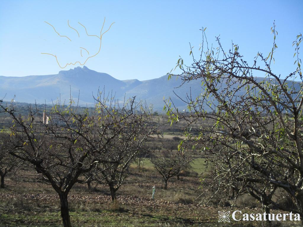 Casa Tuerta Villa Alcalá de Moncayo Kültér fotó