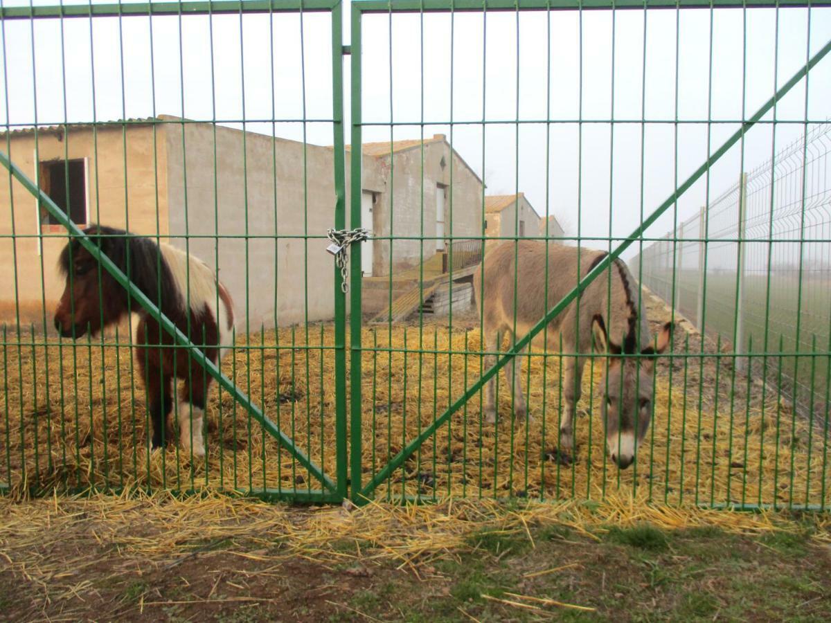 Casa Tuerta Villa Alcalá de Moncayo Kültér fotó